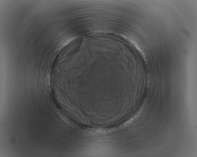 X0000116280881200912291351
