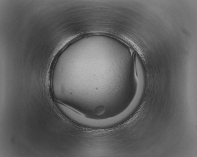 X0000116280885200912291351