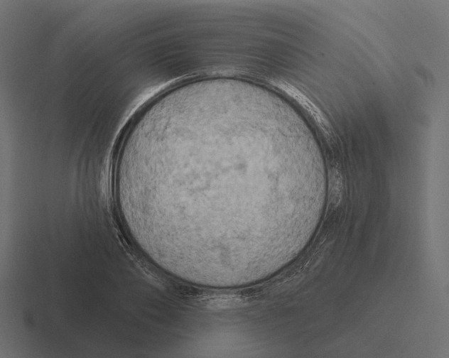 X0000116280886200912291351