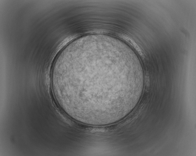 X0000116280890200912291351