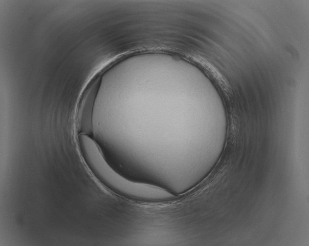 X0000116280894200912291350