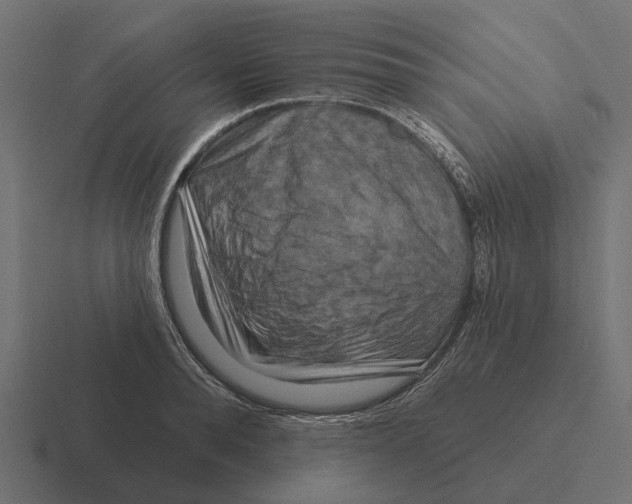 X0000116280896200912291350