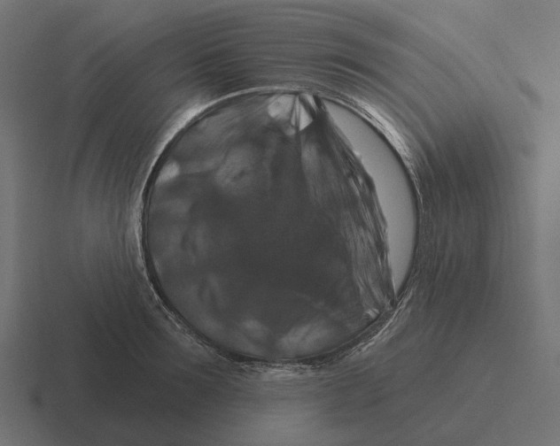 X0000116280899200912291350