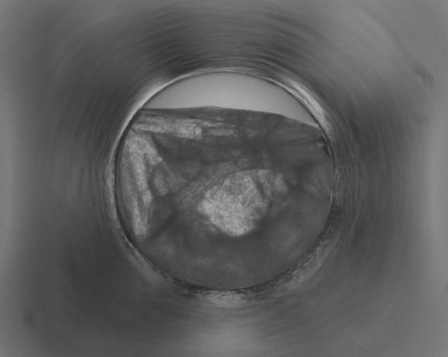 X0000116280907200912291350