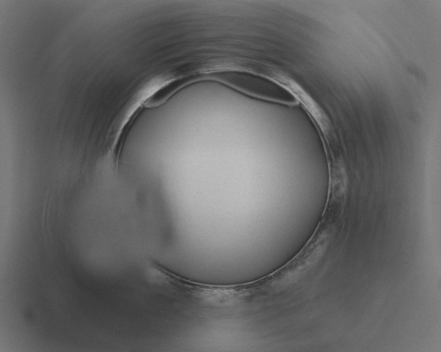 X0000116280909200912291350