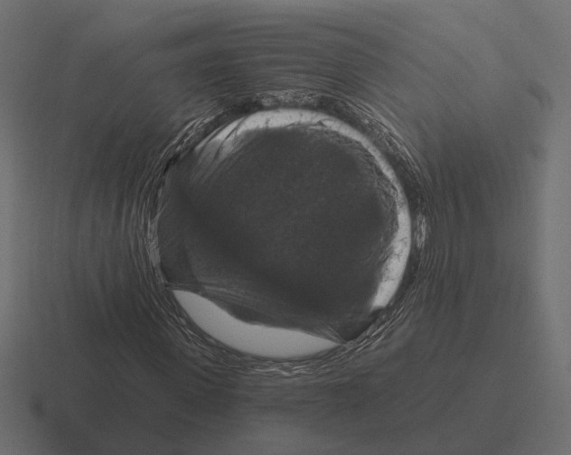 X0000116280915200912291350
