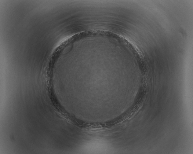 X0000116280919200912291350