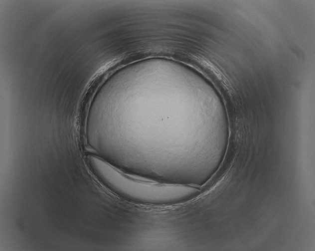 X0000116280922200912291350