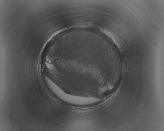 X0000116280923200912291350