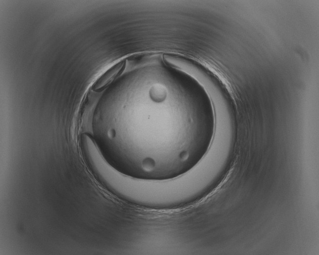 X0000116280925200912291350