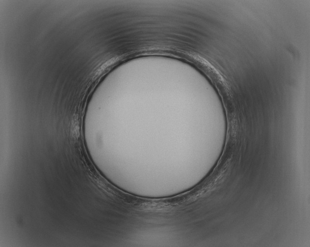 X0000116280929200912291350