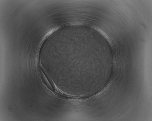 X0000116280930200912291350
