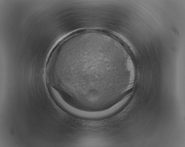 X0000116280935200912291350