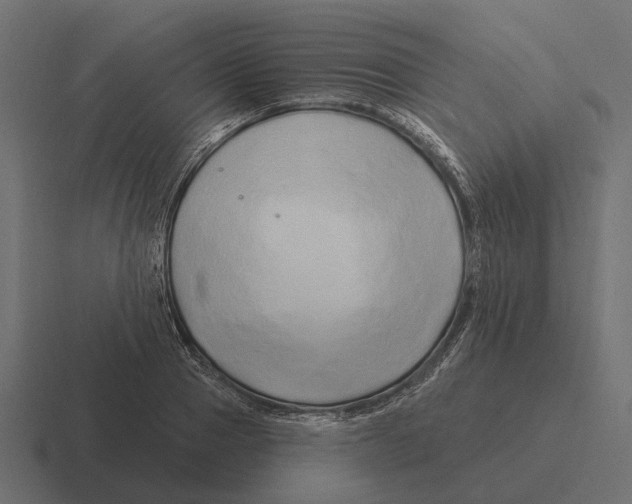 X0000116280937200912291350