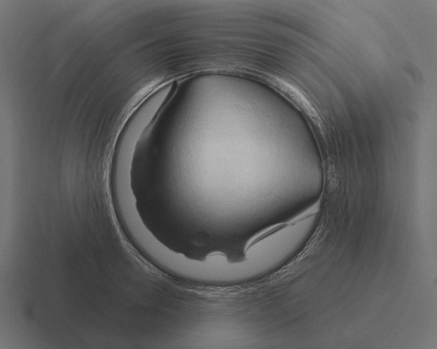 X0000116280946200912291350