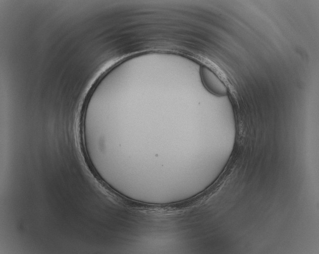 X0000116280947200912291350