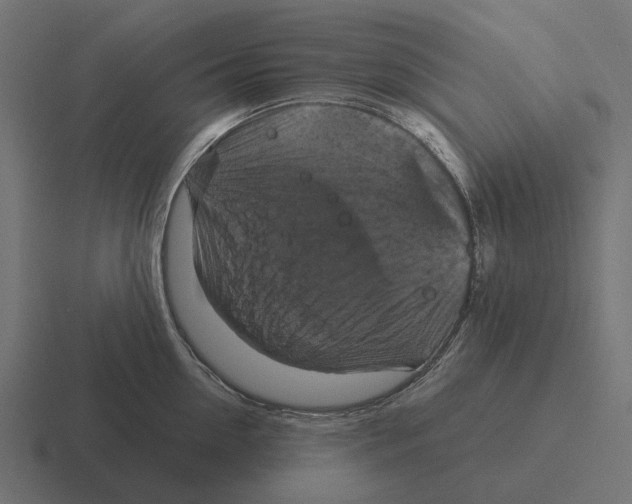 X0000116280954200912291350