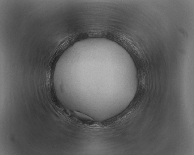 X0000116280964200912291350