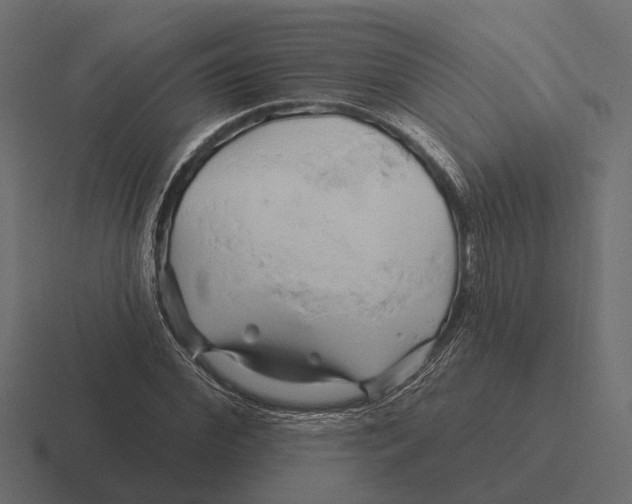 X0000116280972200912291350