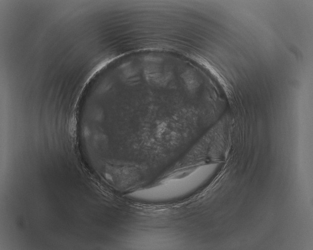 X0000116280975200912291349