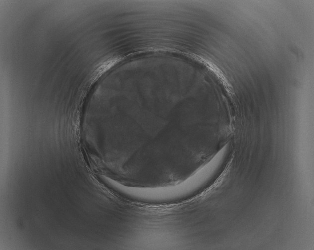 X0000116280977200912291349