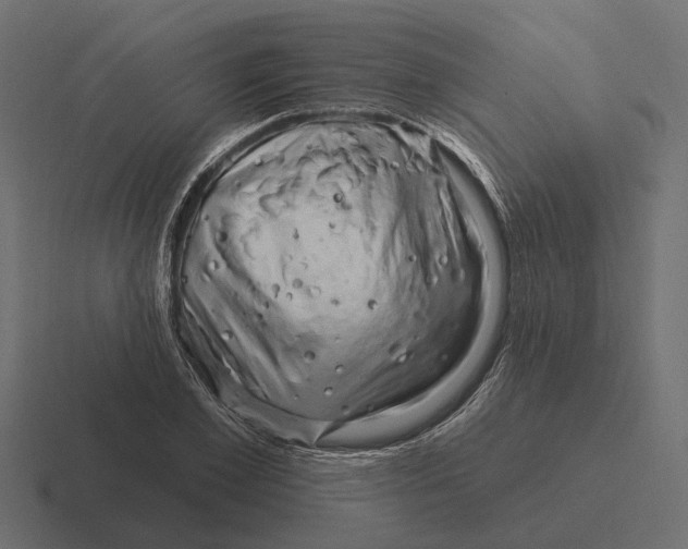X0000116280981200912291349