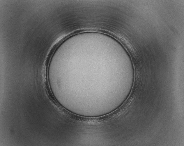 X0000116280982200912291349