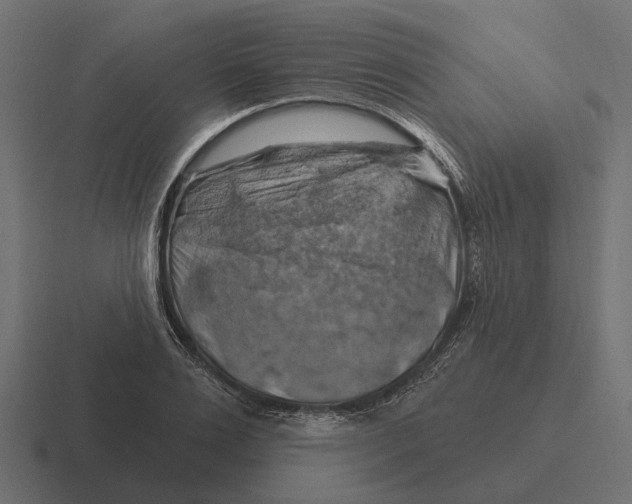 X0000116280983200912291349