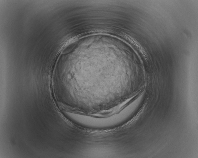 X0000116280985200912291349