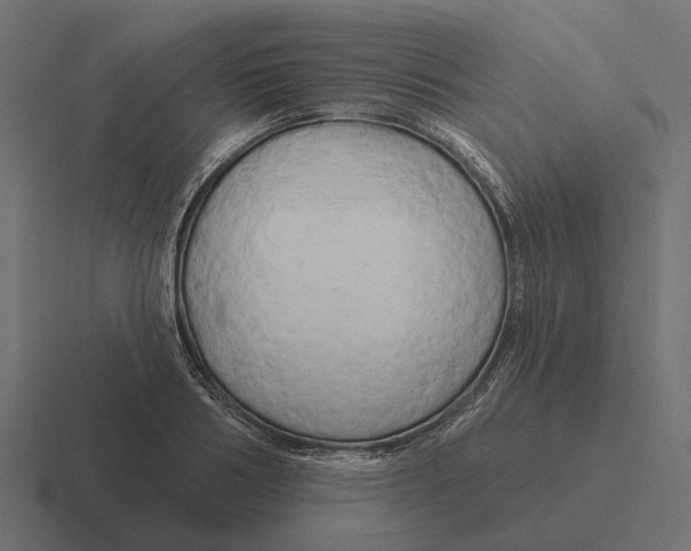 X0000116280986200912291349