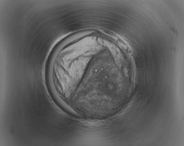 X0000116280987200912291349