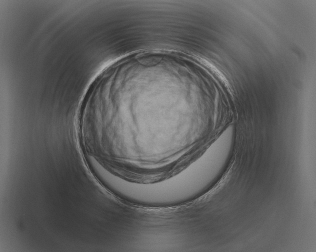 X0000116280989200912291349