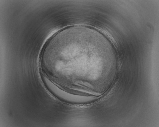 X0000116280990200912291349