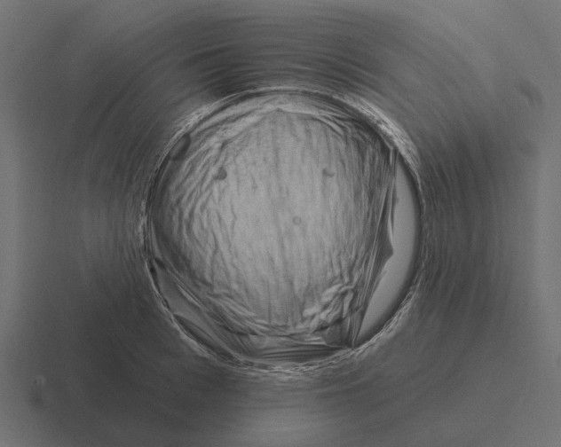 X0000116280993200912291349