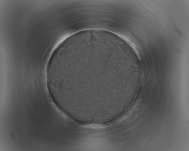 X0000116280998200912291349