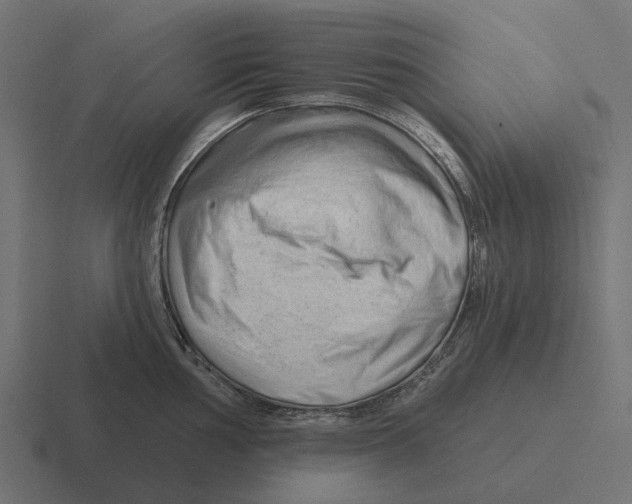 X0000116281002200912291349