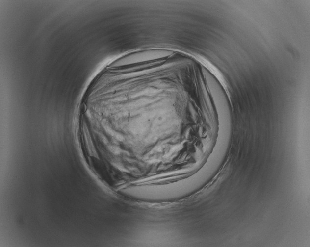 X0000116281005200912291349