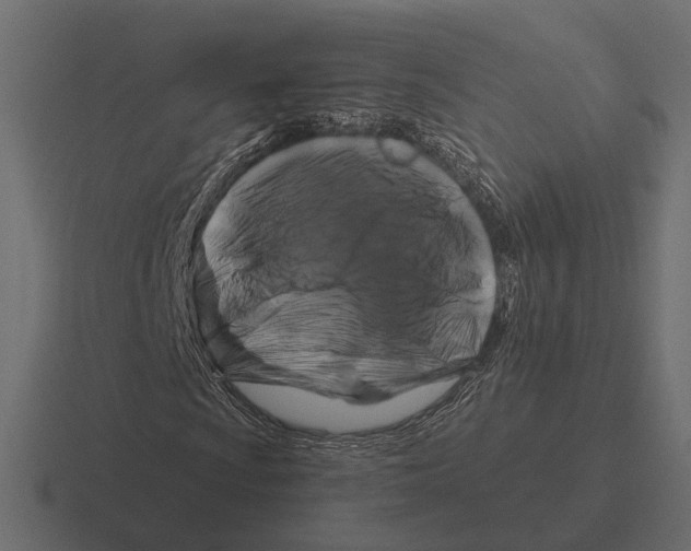 X0000116281009200912291348