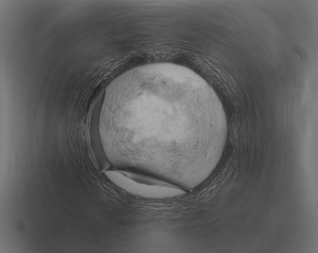 X0000116281010200912291348