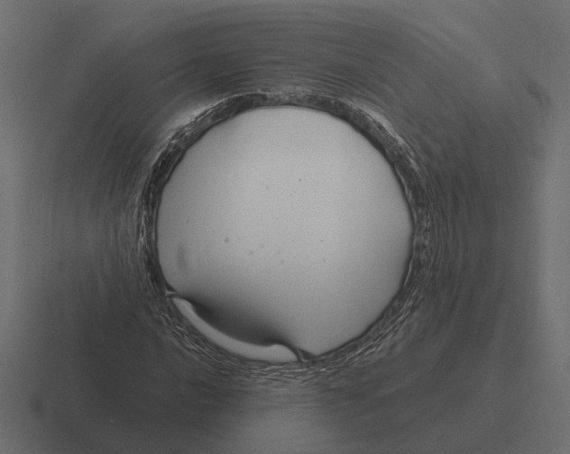 X0000116281016200912291349