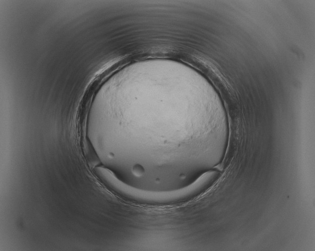 X0000116281018200912291349