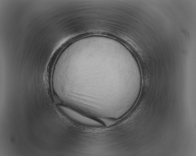X0000116281022200912291349