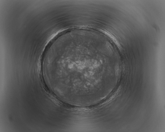 X0000116281023200912291349