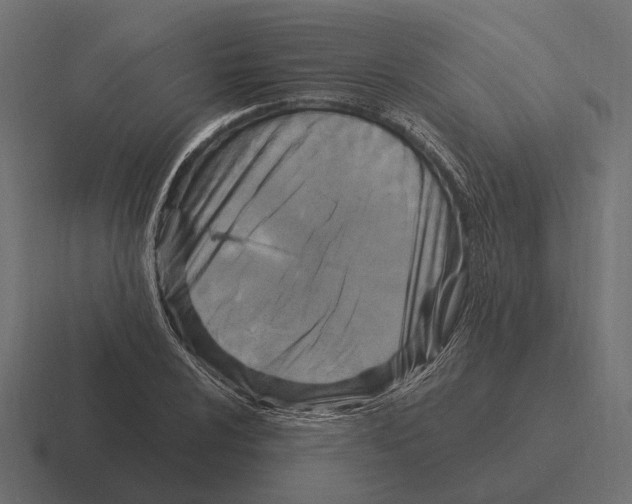 X0000116281024200912291349