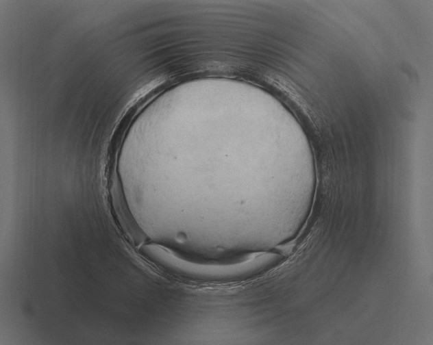 X0000116281026200912291349