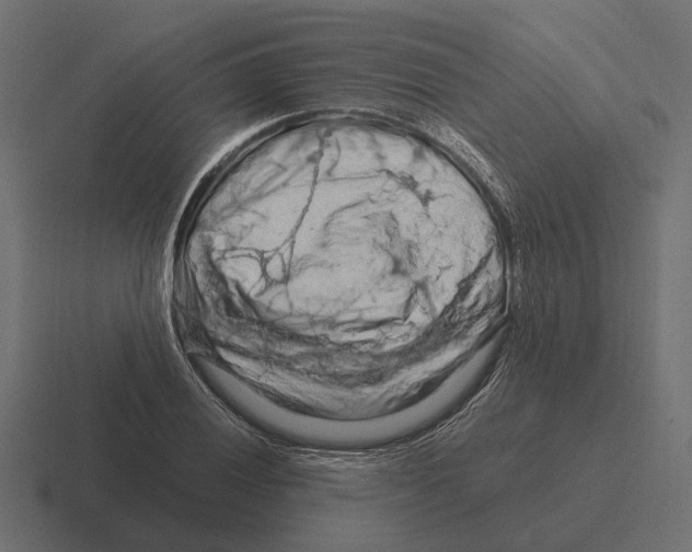 X0000116281028200912291349