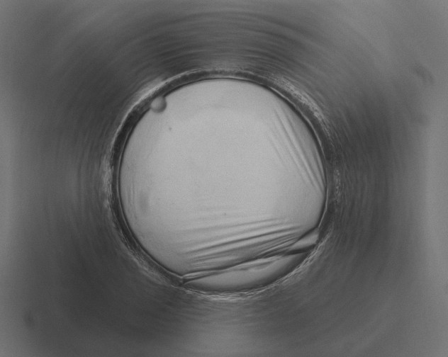 X0000116281029200912291349