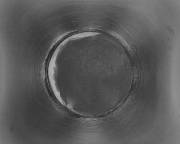 X0000116281031200912291349