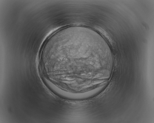 X0000116281032200912291349