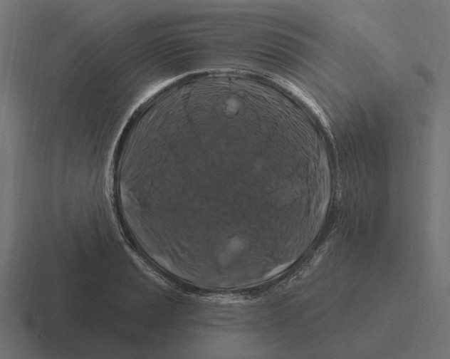 X0000116281037200912291349